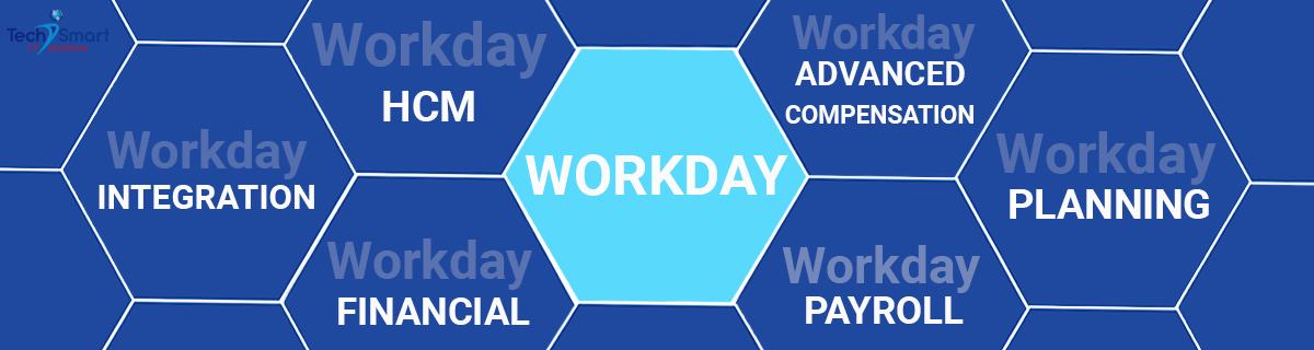 workday online training in usa 